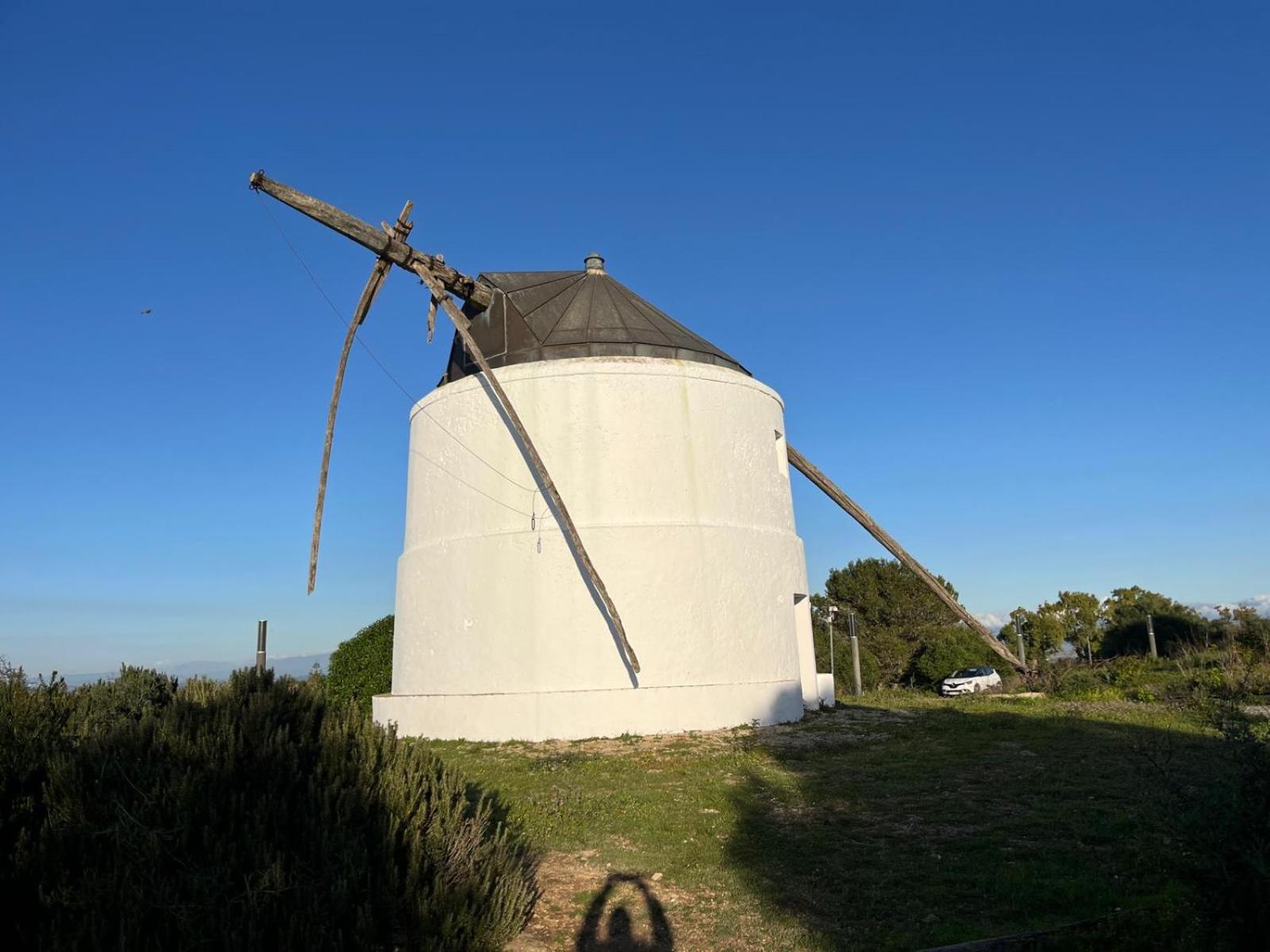 Estudio Los Mellis Vejer de la Frontera Eksteriør billede