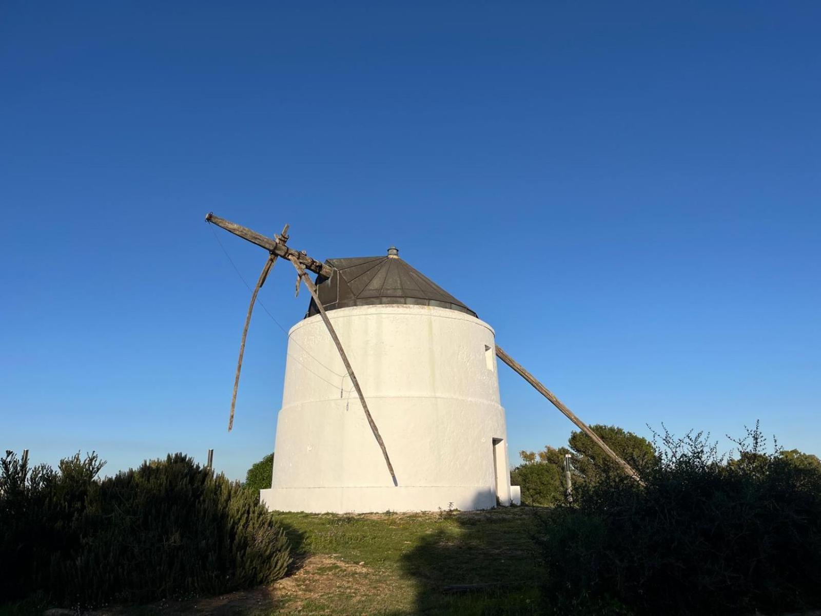 Estudio Los Mellis Vejer de la Frontera Eksteriør billede